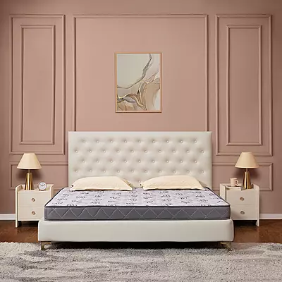 Easyplus Easyplus